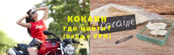 мдпв Карпинск