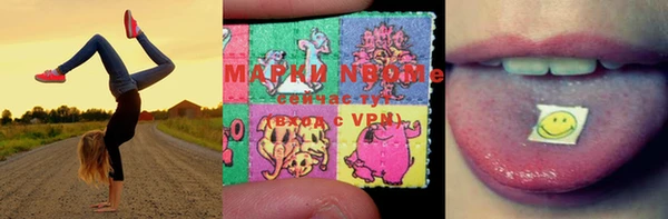 тгк Галич
