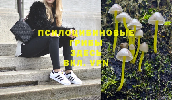 сатива Киренск