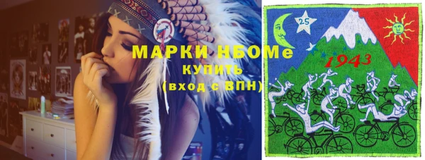 мдпв Карпинск