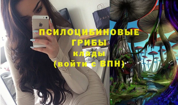 экстази Касимов